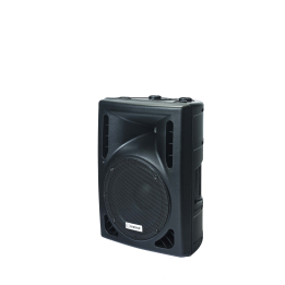 Enceinte 2 voies bass-réflex