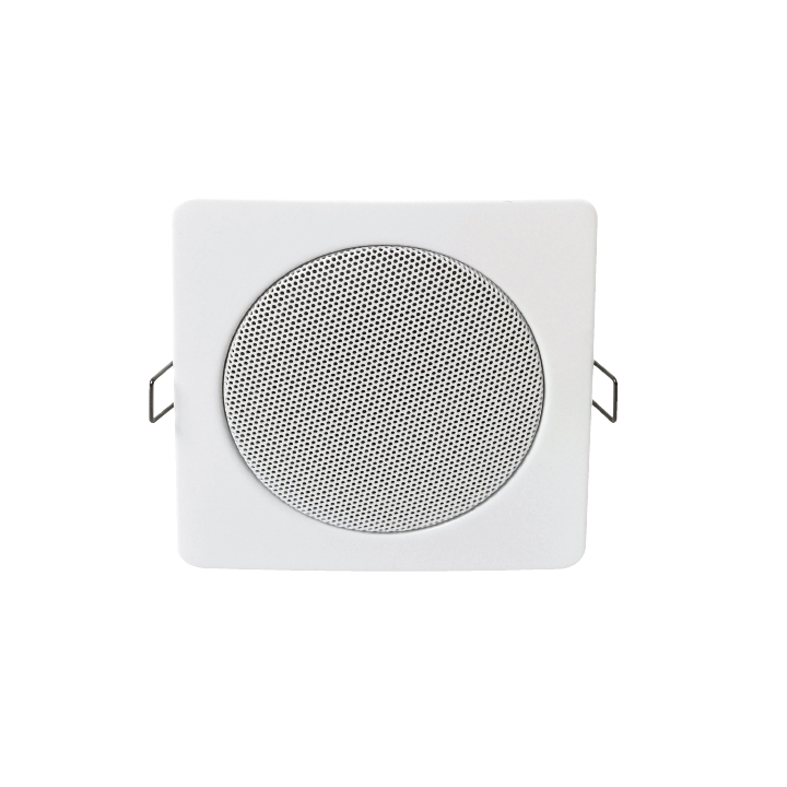 Haut-parleur plafond