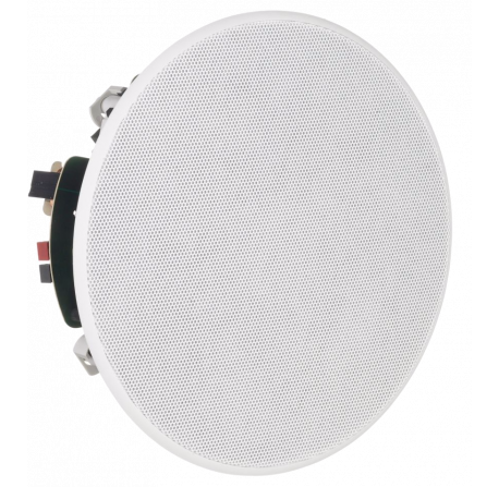 Haut-parleur plafond