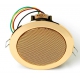 Haut-parleur plafond