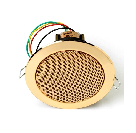 Haut-parleur plafond
