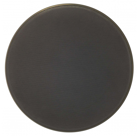 Haut-parleur plafond