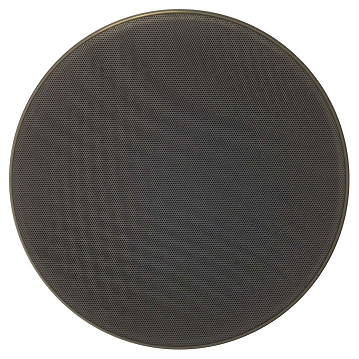 Haut-parleur plafond