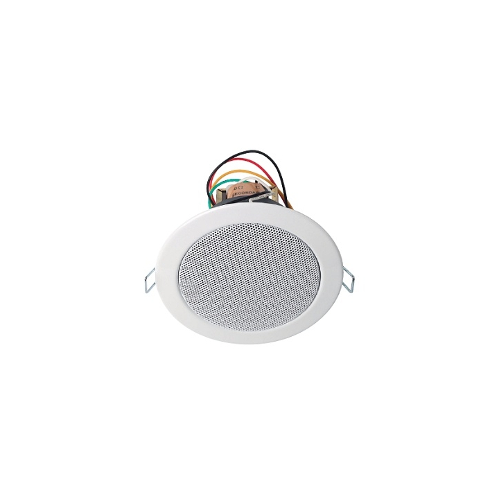 Haut-parleur plafond