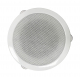 Haut-parleur plafond