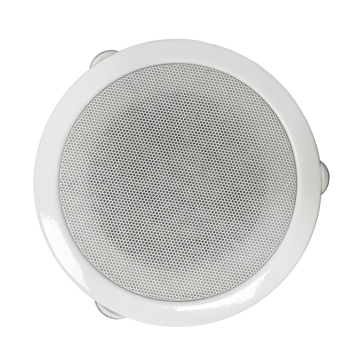 Haut-parleur plafond