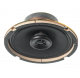 Haut-parleur plafond