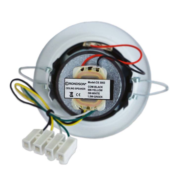 Haut-parleur plafond