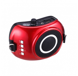 Amplificateur de voix 20W avec microphone serre-tête