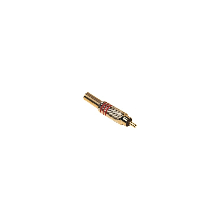 FRCAMN - FRCAMR - Fiche RCA Mâle