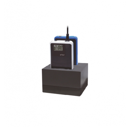 Chargeur à 2 emplacements WT-200CHARGER