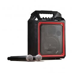 100W portable PA system speaker with 2 UHF microphones and USB / SD / MP3 / BLUETOOTH
