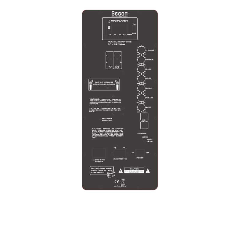 Enceinte sono mobile amplifiée 800W 15 LED/USB/BT/SD/FM + Micros sans-fil /filaire
