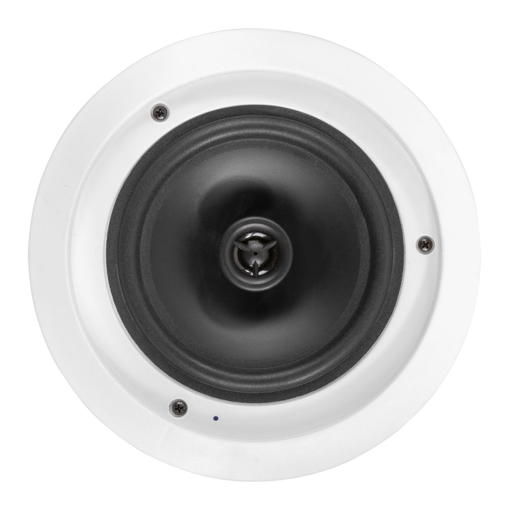 Haut-parleur plafond