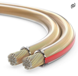 Speaker cable