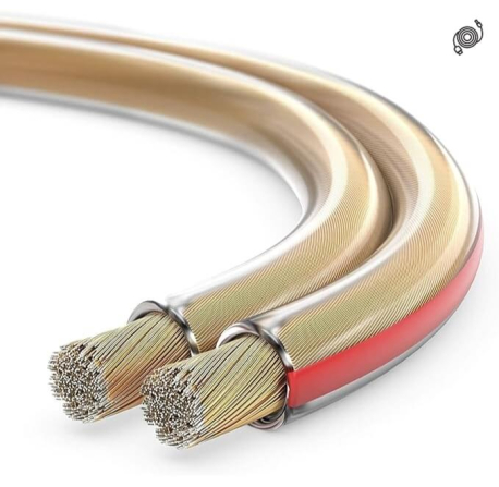 Speaker cable