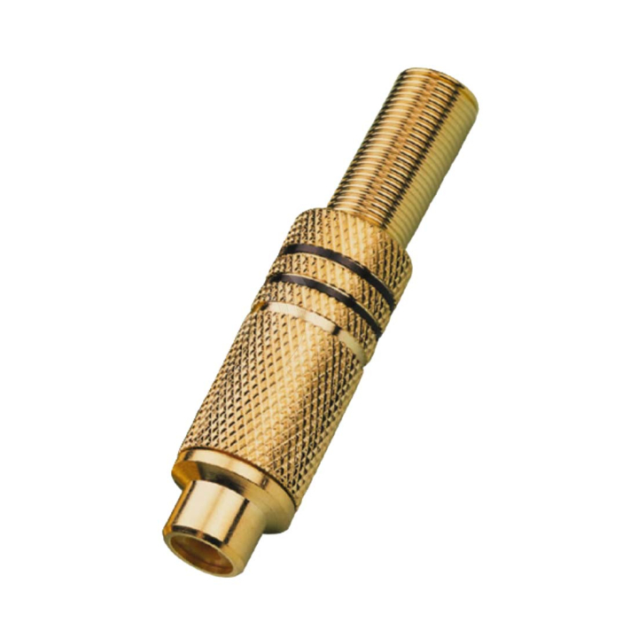 Fiche RCA Mâle