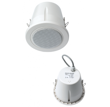 Haut-parleur de plafond