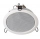 Haut-parleur plafond