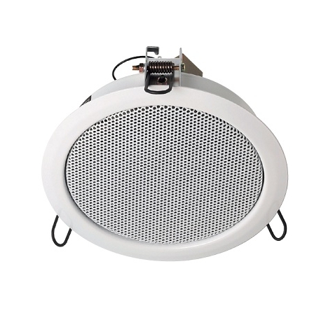 Haut-parleur plafond
