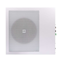 120W class D active subwoofer with wall application