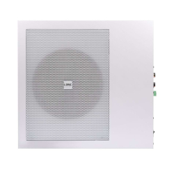 120W class D active subwoofer with wall application