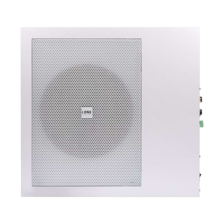 120W class D active subwoofer with wall application