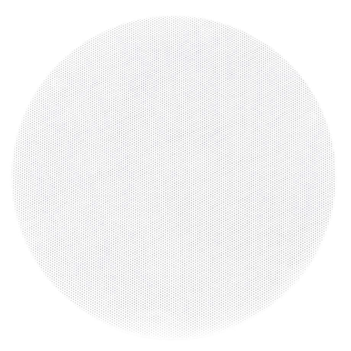 Haut-parleur plafond