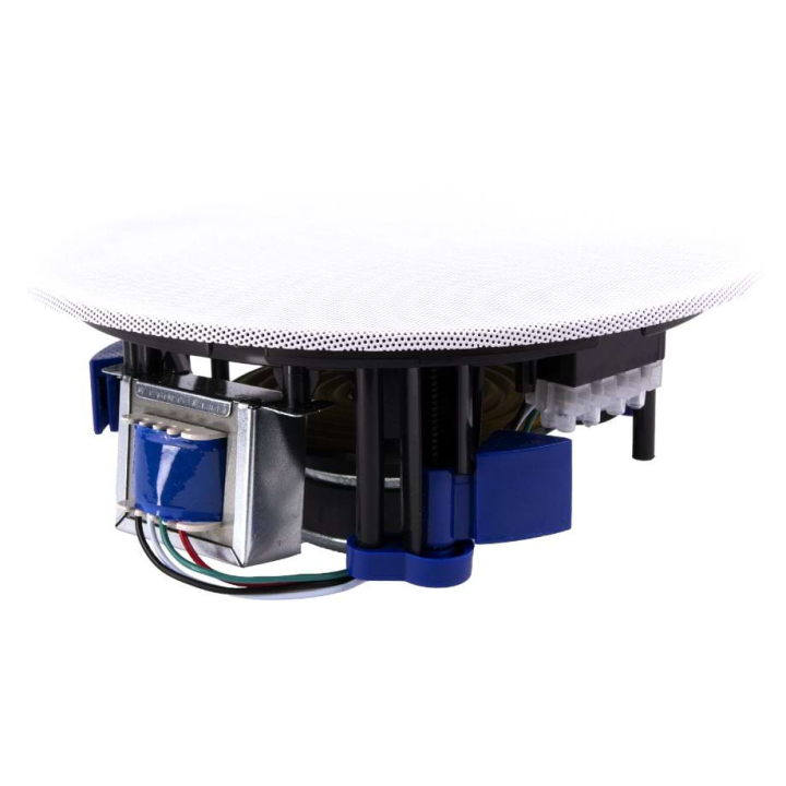 Haut-parleur plafond