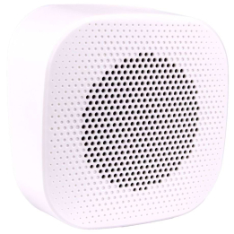 6 W wall/ceiling speaker