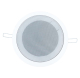 Haut-parleur plafond
