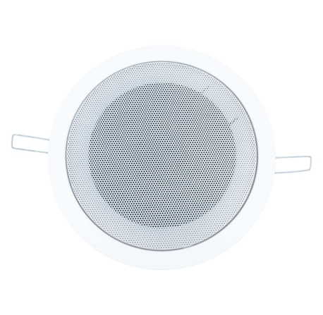 Haut-parleur plafond