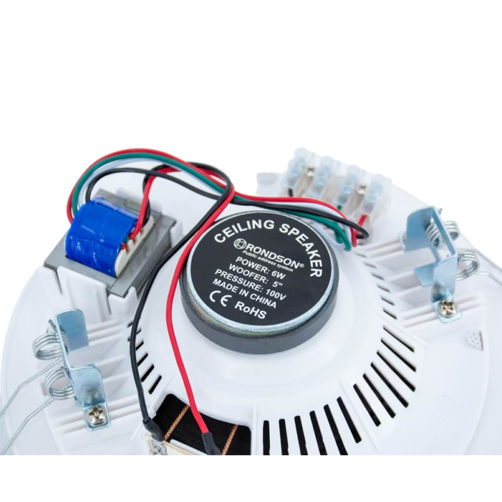 Haut-parleur plafond