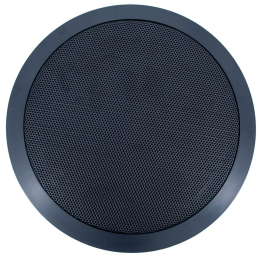Haut-parleur de plafond