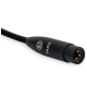 Pupitre microphone amplifié