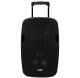 Altoparlante amplificato portatile da 240W con 2 microfoni UHF - USB/SD/MP3/BLUETOOTH