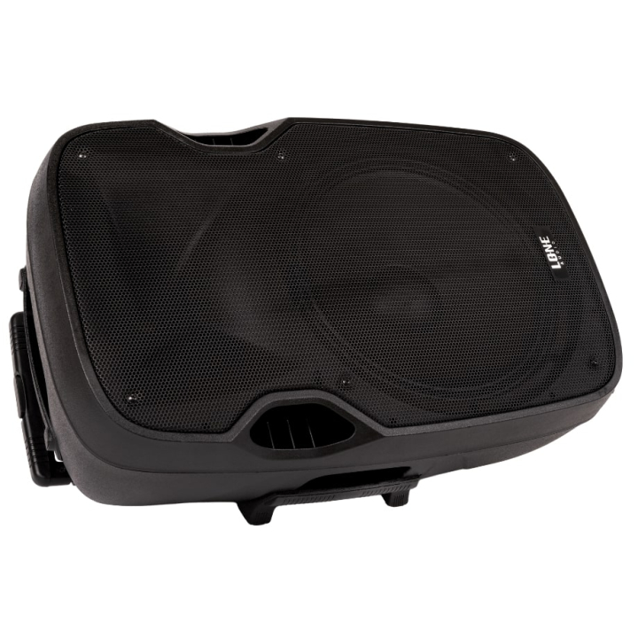 Altoparlante amplificato portatile da 480W con 2 microfoni UHF - USB/SD/MP3/BLUETOOTH