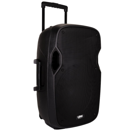 Altoparlante amplificato portatile da 480W con 2 microfoni UHF - USB/SD/MP3/BLUETOOTH