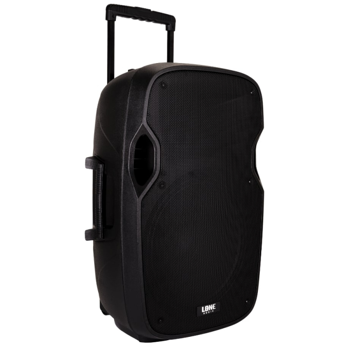 Altoparlante amplificato portatile da 480W con 2 microfoni UHF - USB/SD/MP3/BLUETOOTH