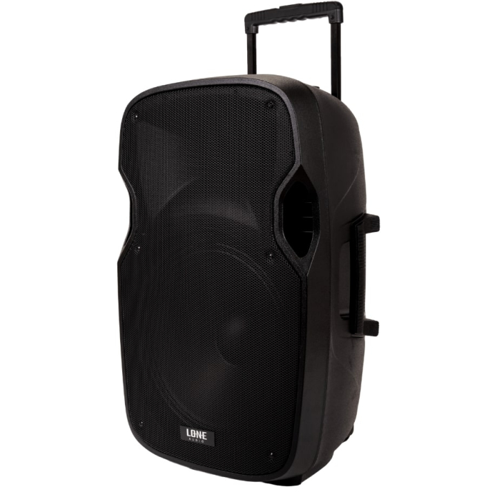 Altoparlante amplificato portatile da 480W con 2 microfoni UHF - USB/SD/MP3/BLUETOOTH
