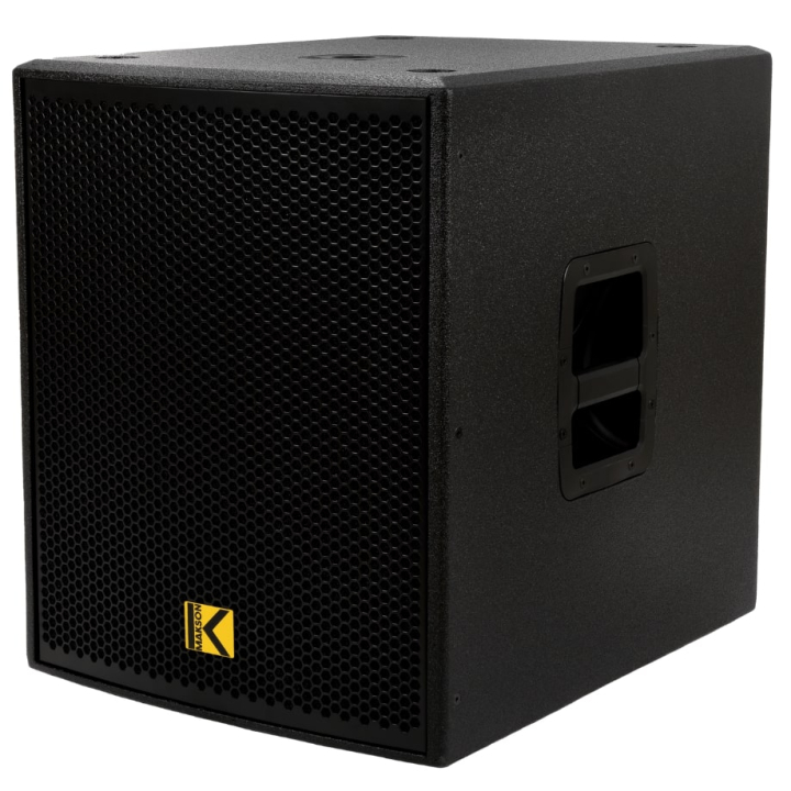 1600W amplified subwoofer/speaker system
