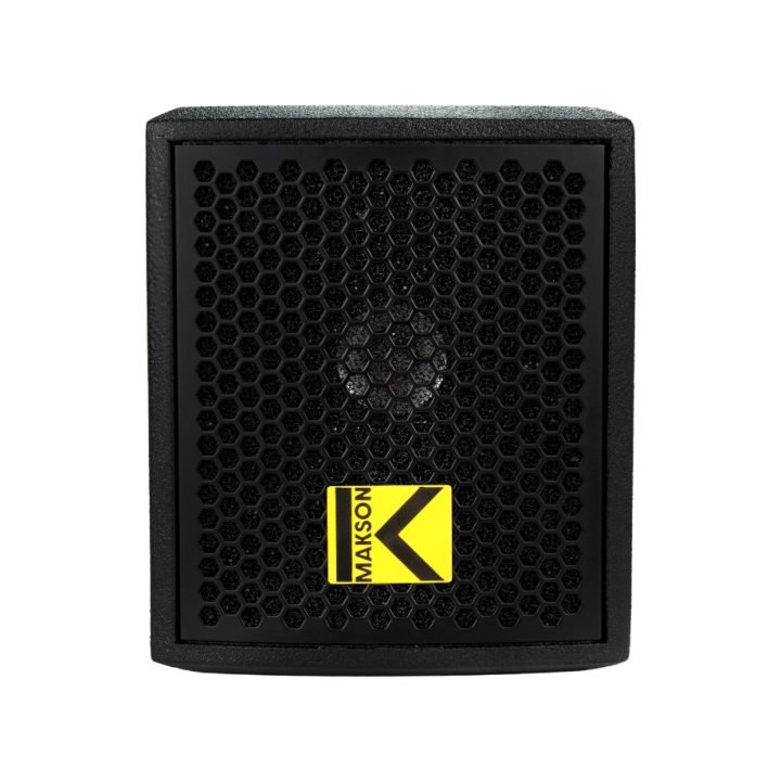 1600W amplified subwoofer/speaker system