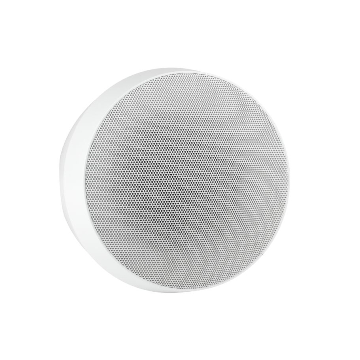 HPO-30BL Enceintes sphériques suspendues 30W en 100V