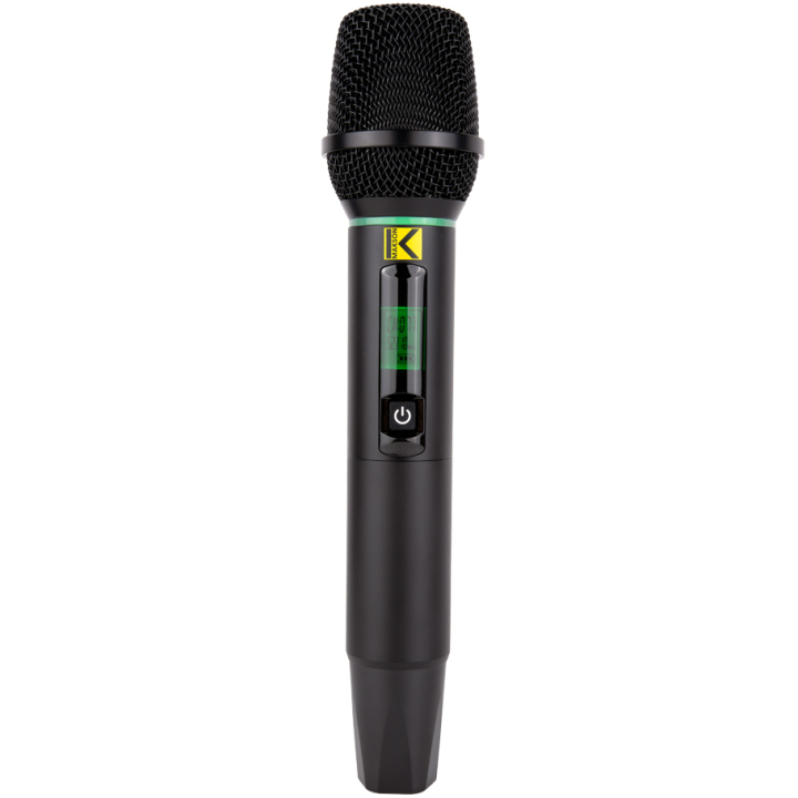 Système microphone HF double canaux avec 2 micros à main