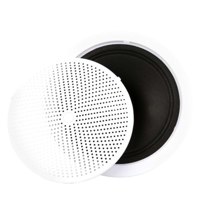 CSW-10WBL - Haut-parleurs plafond 10W Blanc -Grille