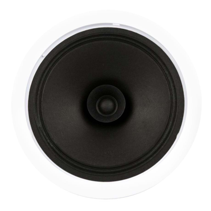 CSW-10WBL - Haut-parleurs plafond 10W Blanc -Sans grille