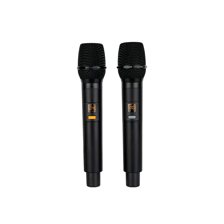 200W portable amplified speaker with two wireless microphones