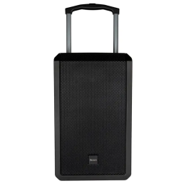 Altavoz portátil amplificado de 200 W con dos micrófonos inalámbricos