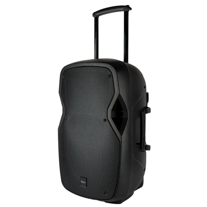 120W portable amplified sound system with 2 UHF microphones
