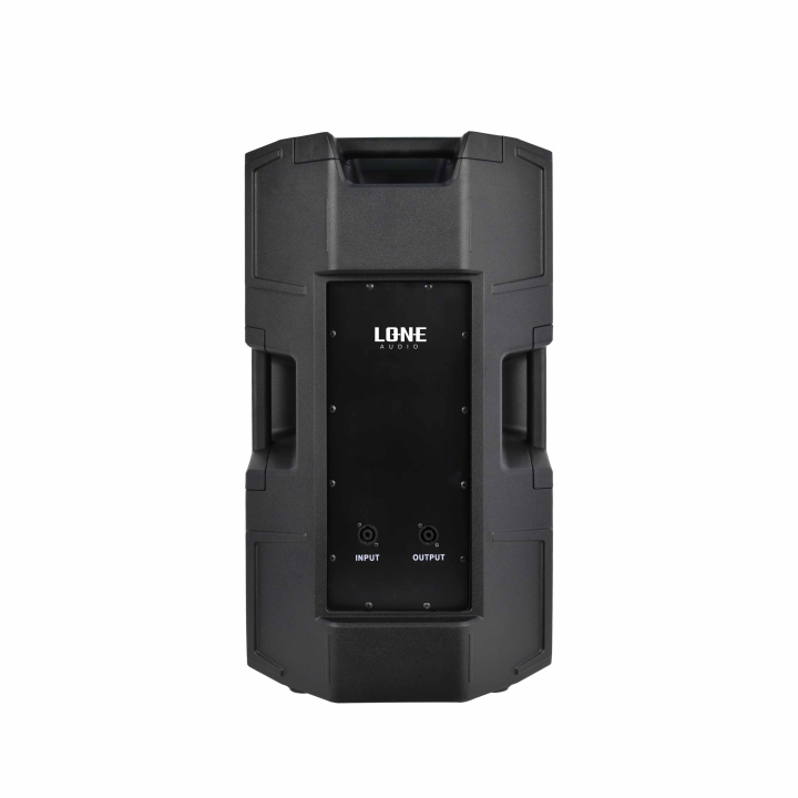 LA-212PIK - Enceinte passive 350W IK8 - Vue derrière